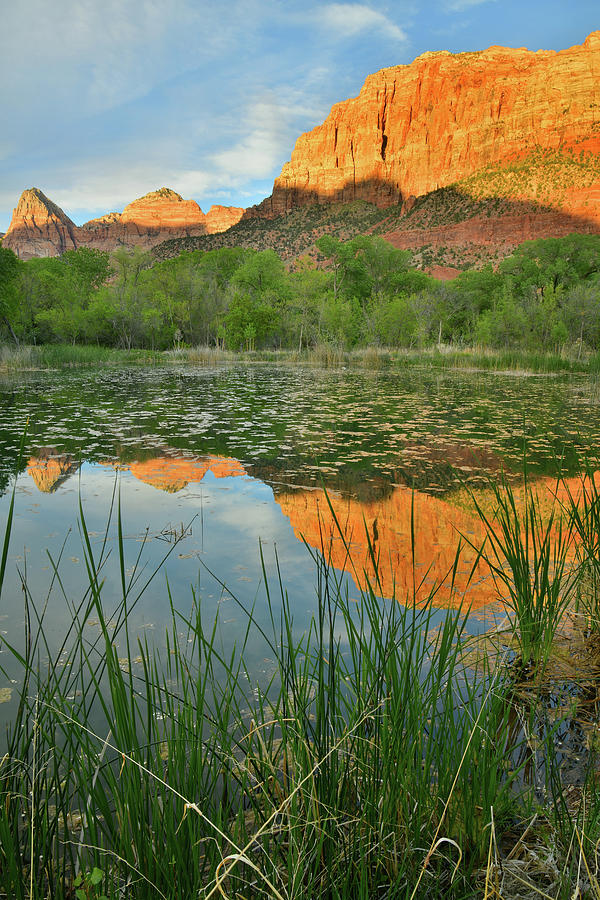 Zion Canyon Mirror Image Photograph by Ray Mathis