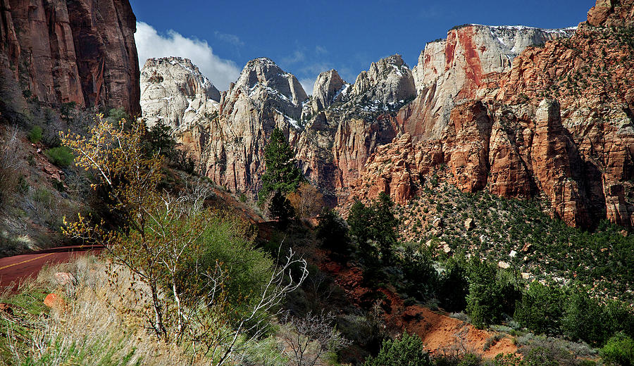 Zion Canyon Natural Beauty Photograph by Mitch Diamond