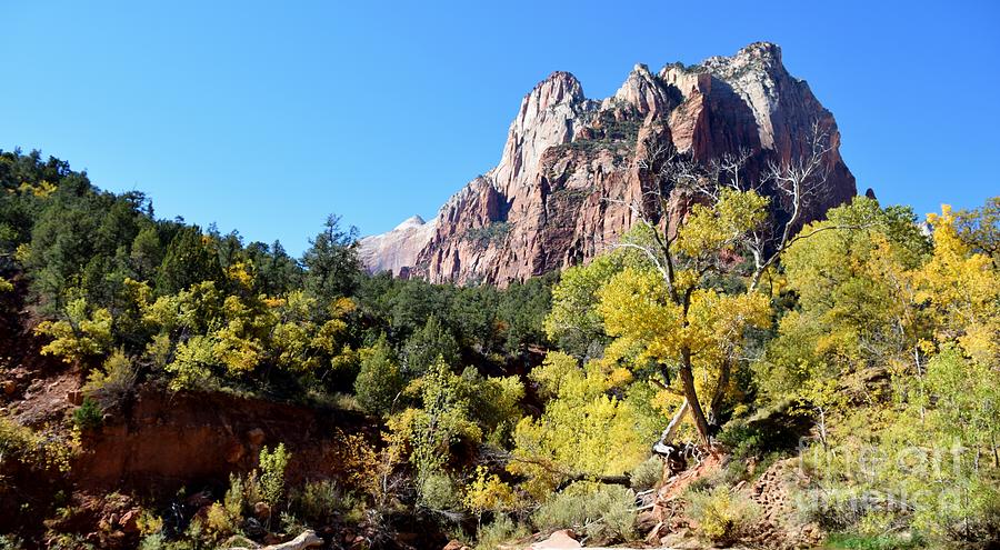 Zion Canyon Watchman Photograph by Janet Marie