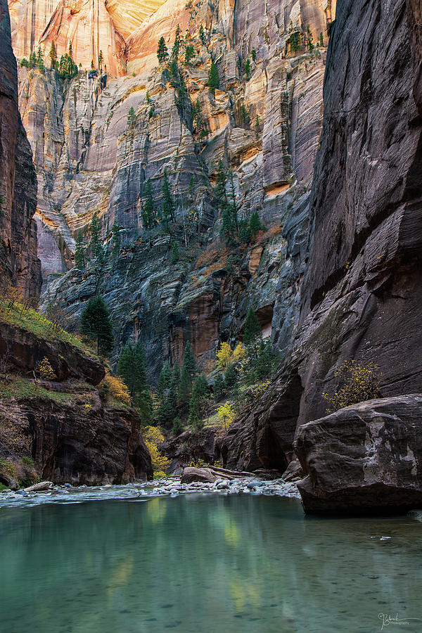 Zion Cliffs Photograph by James Zebrack - Fine Art America