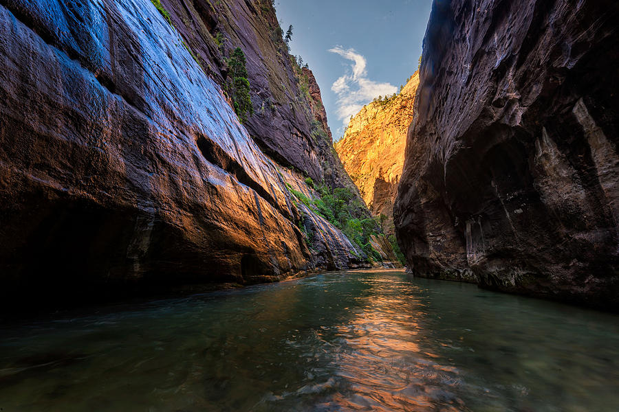 Zion Narrows Photograph by Dave Koch