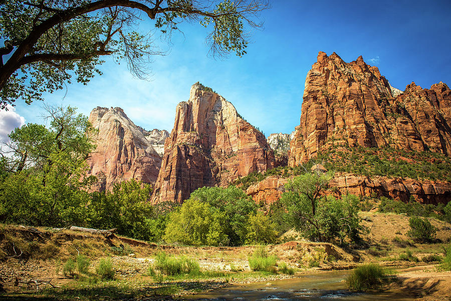 Zion National Park Photograph by Aileen Savage