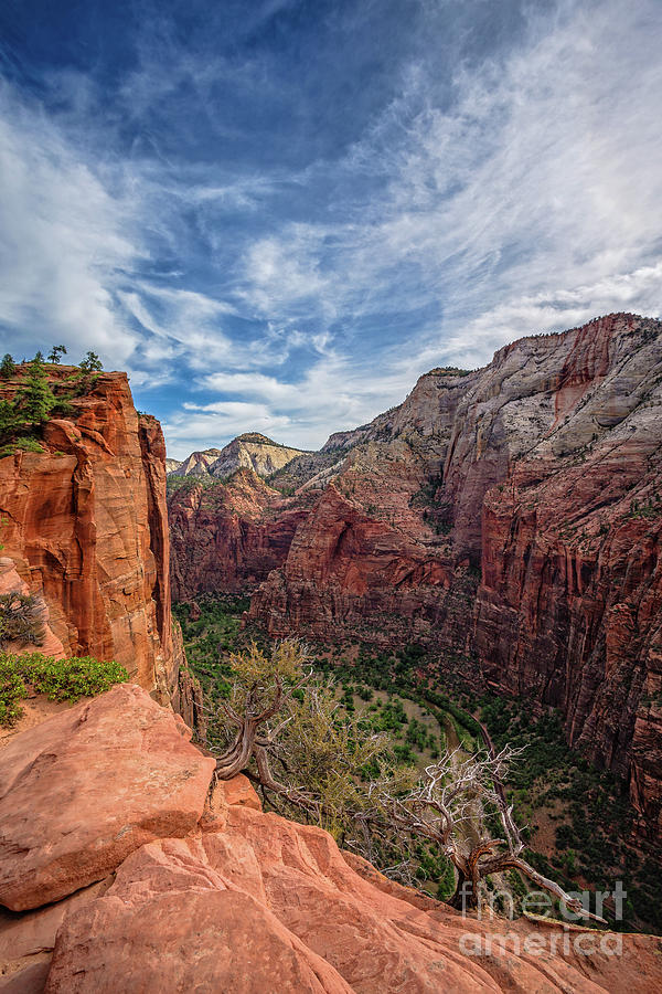 Zion National Park Photograph - Zion National Park Angels Landing Canyon View by Edward Fielding