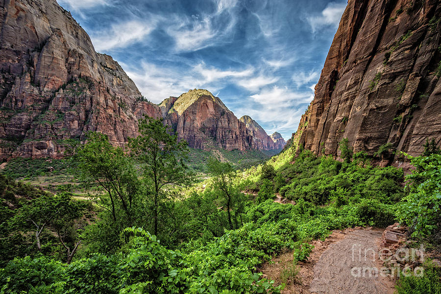 Zion National Park Angels Landing Trail Photograph by Edward Fielding