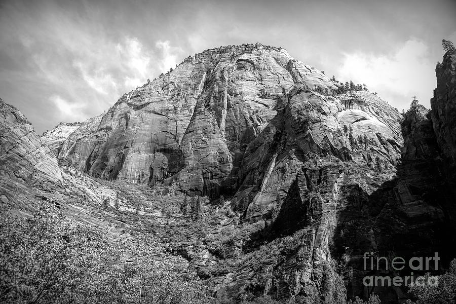 Zion National Park Black White Photograph by Chuck Kuhn