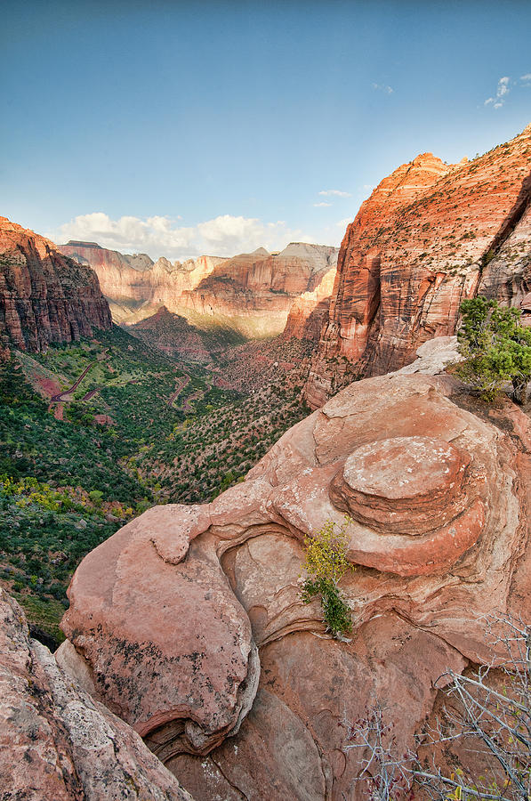 Zion National Park Photograph by Brook Tyler Photography