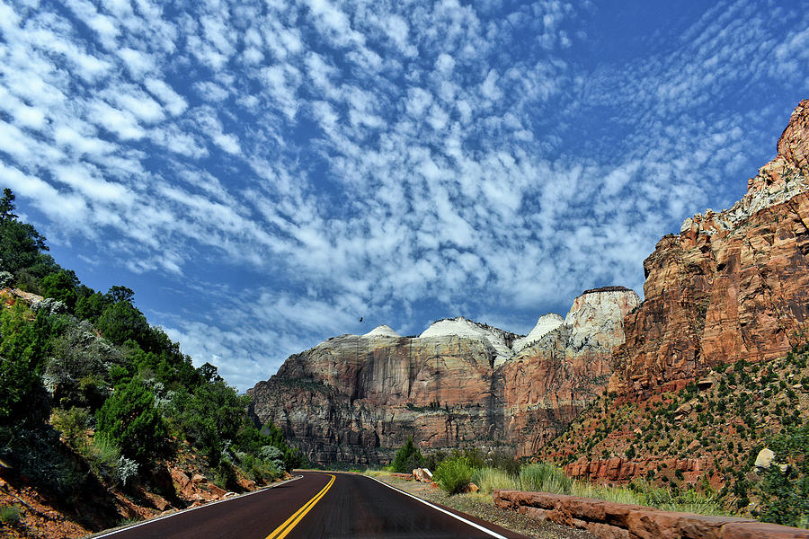 Zion National Park Utah In September 03 Photograph by Thomas Woolworth