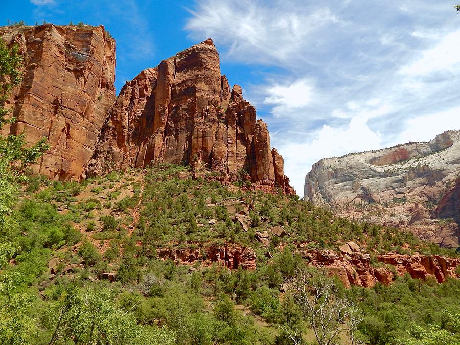 Zion Pinnacles by Dan Miller Zion Pinnacles by Dan Miller