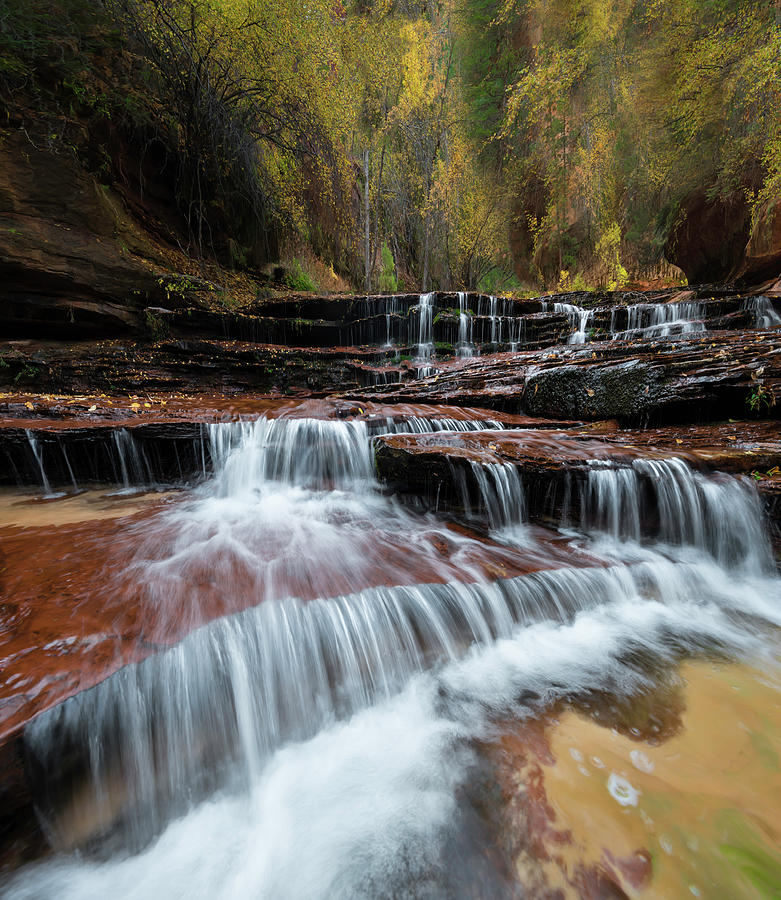 Tree Photograph - Zion Trail Waterfall by Larry Marshall