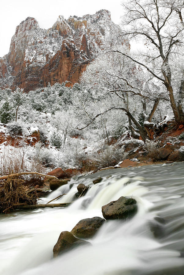 Zion Winter Photograph by Imaginegolf