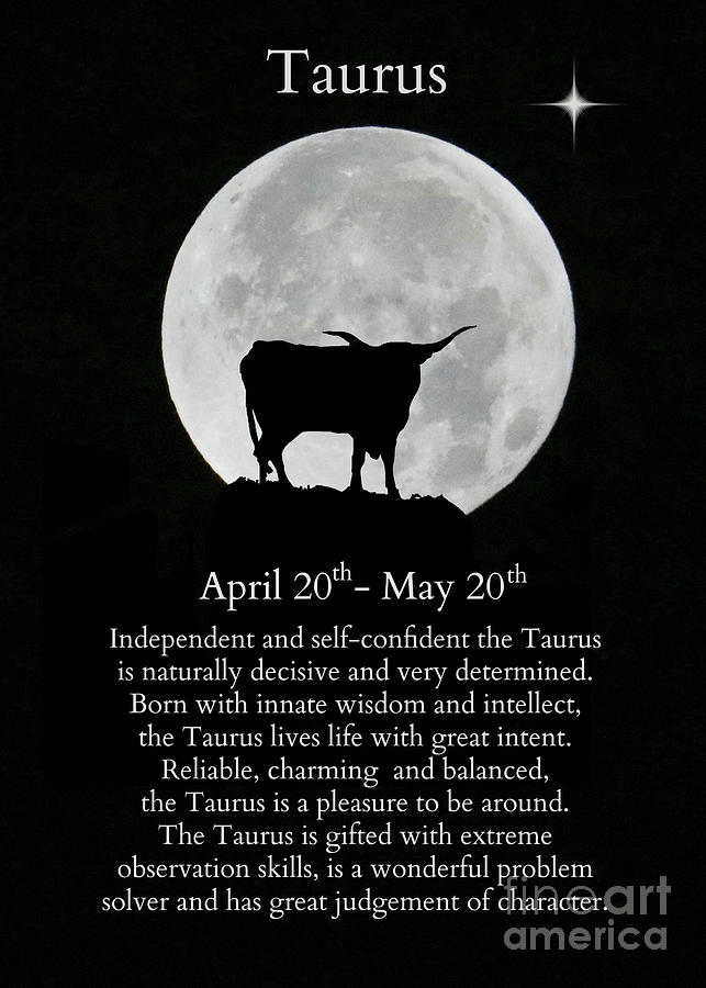 Zodiac Sign of Taurus the Bull April through May Birthdays Photograph by Stephanie Laird