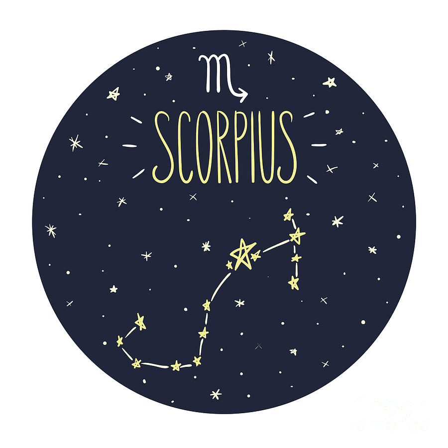 Symbol Digital Art - Zodiac Signs Doodle Set - Scorpius by Radiocat Symbol Digital Art - Zodiac Signs Doodle Set - Scorpius by Radiocat