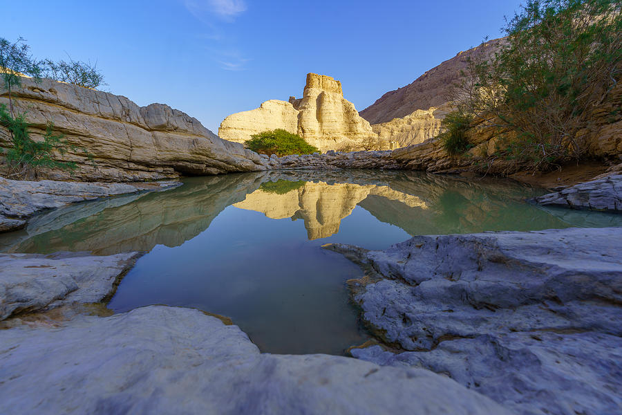 Zohar Stronghold, And Winter Puddle, Judaean Desert Photograph by Ran Dembo