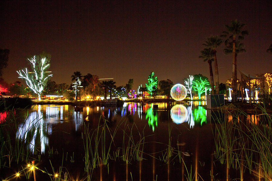 Zoo Lights Reflection Photograph by Catherine Walters