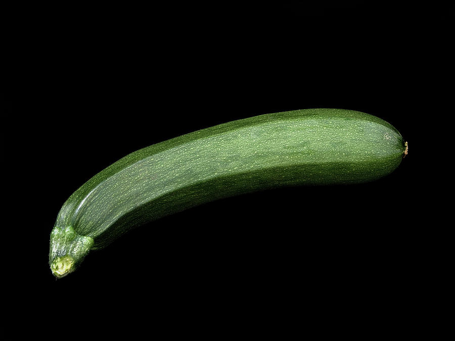Zucchini Photograph by Photography By Paula Thomas