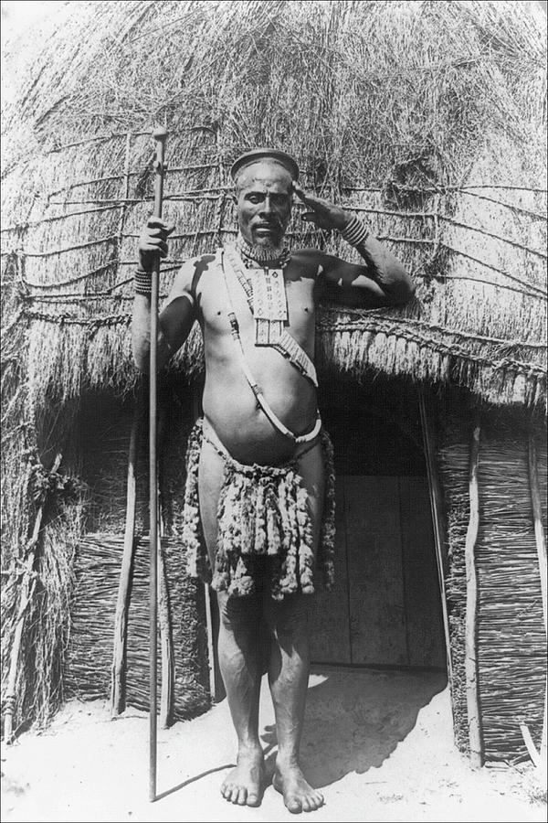 Zulu Painting - Zulu Chief by Unknown