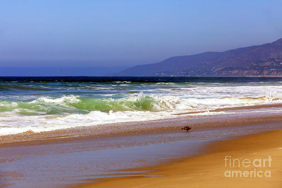 Zuma beach hi-res stock photography and images - Alamy