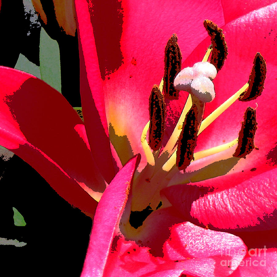  Hot Pink Lily Digital Art by Marsha Young