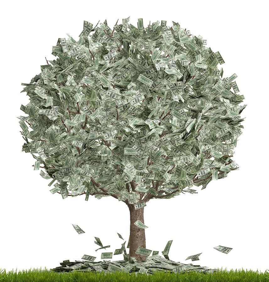  Money tree, overflowing, white background Photograph by Don Farrall
