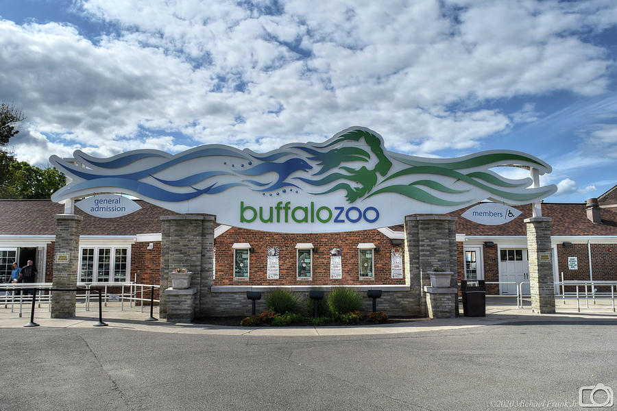 0001 The Buffalo Zoo 2020 Photograph by Michael Frank Jr | Pixels