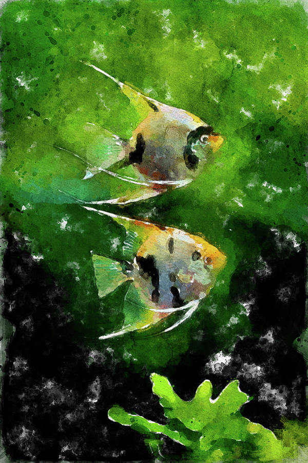 001 Yellow Angelfish Watercolor Angelfish with Green Background Painting by Large Wall Art For Living Room