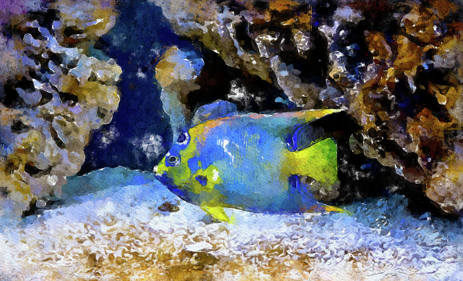 002 Blue and Yellow Angelfish Watercolor Angelfish with Coral Reef Background Painting by Large Wall Art For Living Room