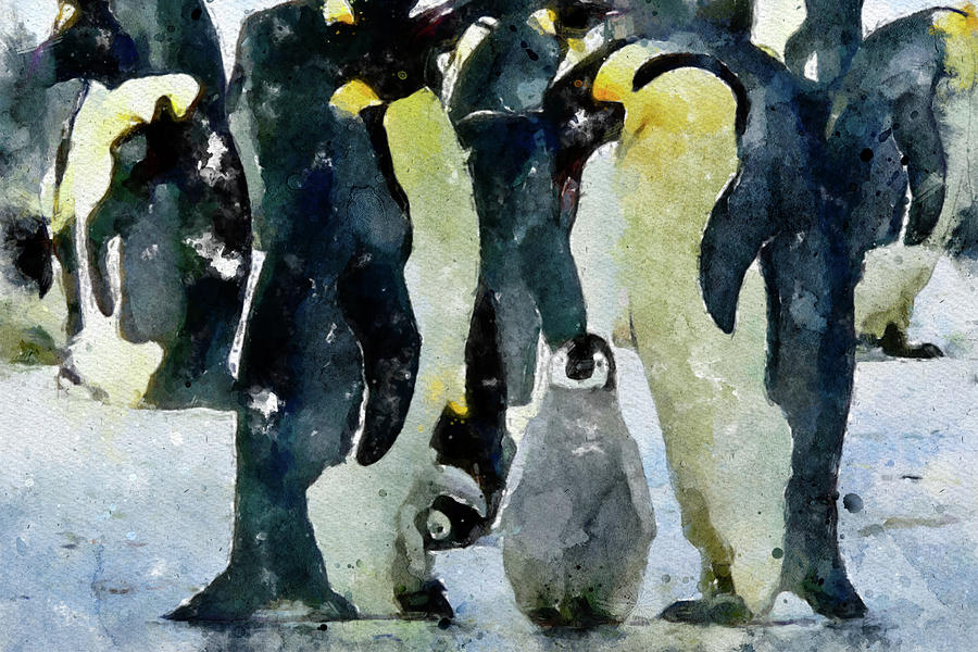 002 Penguins Watercolor Penguis Watercolor Painting with White Background Painting by Large Wall Art For Living Room