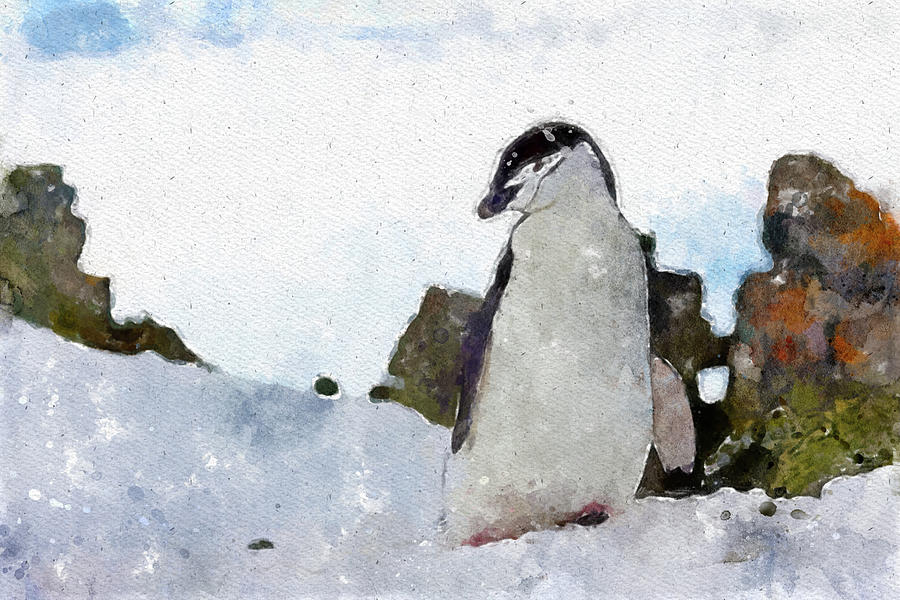 003 Penguin Watercolor Penguin Watercolor Painting with White Background Painting by Large Wall Art For Living Room