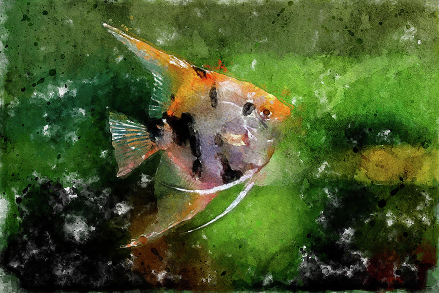 003 Single Yellow Angelfish Watercolor Angelfish with Green Background Painting by Large Wall Art For Living Room