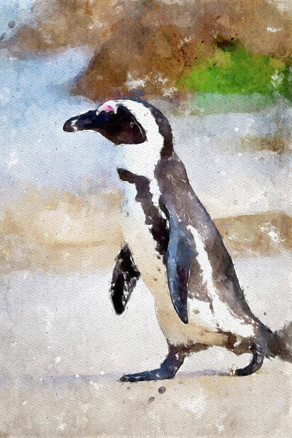 005 Penguin Watercolor Penguin Watercolor Painting with White Background Painting by Large Wall Art For Living Room