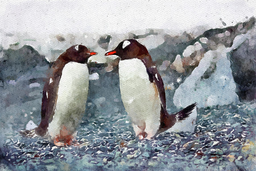 006 Couple of Penguins Watercolor Penguis Watercolor Painting with White Background Painting by Large Wall Art For Living Room
