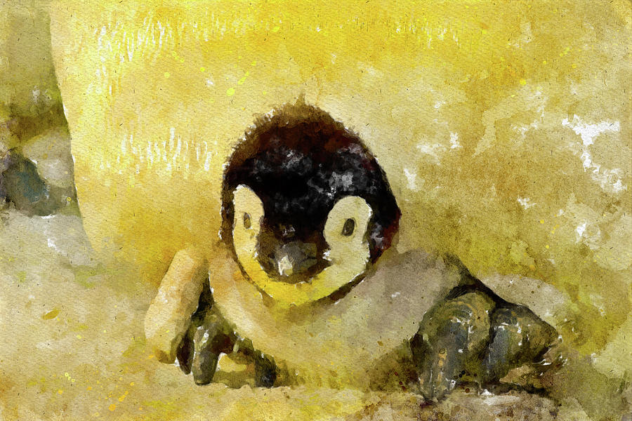007 Baby Penguin Watercolor Penguin Watercolor Painting with Yellow Background Painting by Large Wall Art For Living Room 007 Baby Penguin Watercolor Penguin Watercolor Painting with Yellow Background Painting by Large Wall Art For Living Room