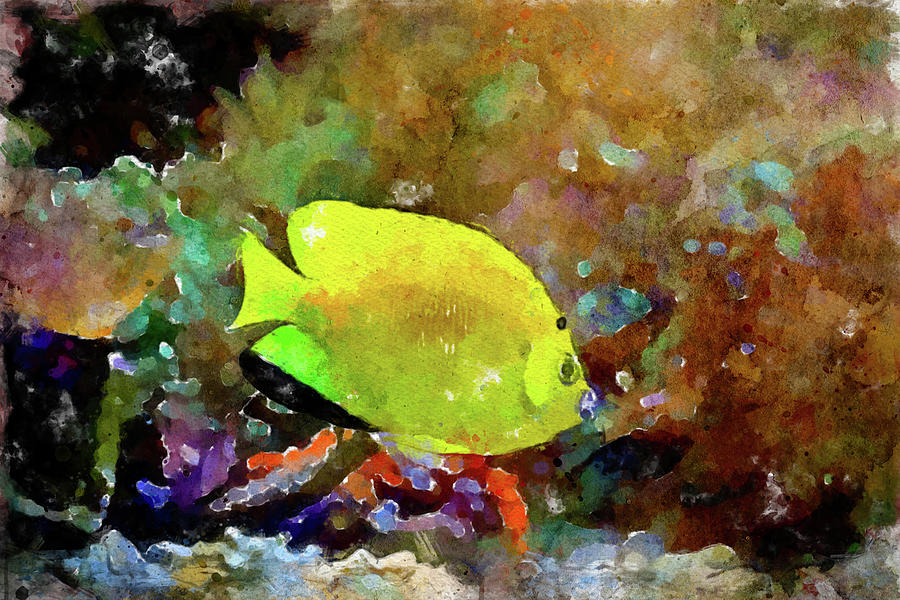009 Yellow Angelfish Watercolor Angelfish with Company Painting by Large Wall Art For Living Room