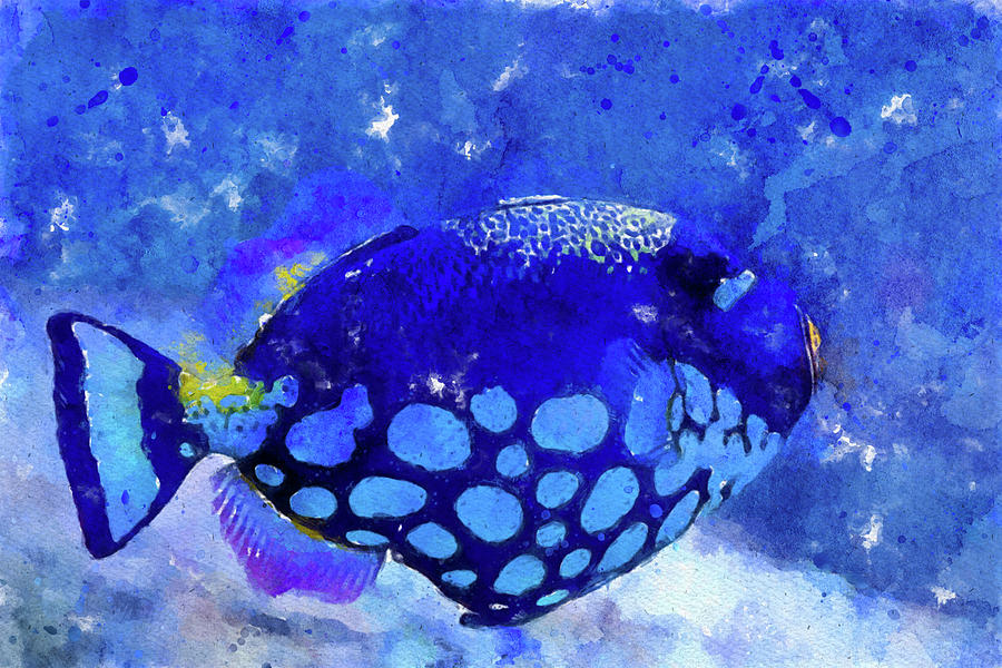 010 Blue Angelfish Watercolor Angelfish with Blue Background Painting by Large Wall Art For Living Room