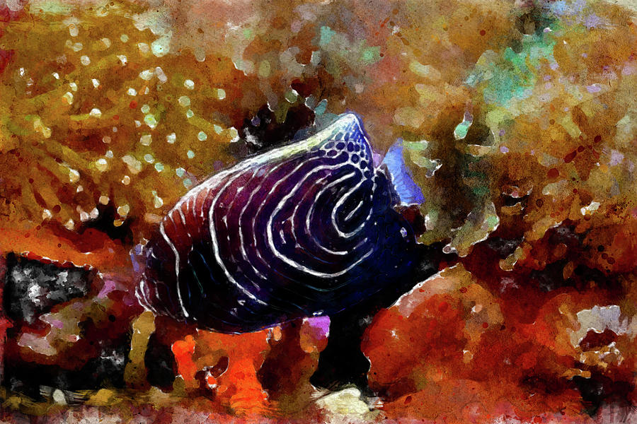 011 Black and White Angelfish Watercolor Angelfish with Corals Background Painting by Large Wall Art For Living Room