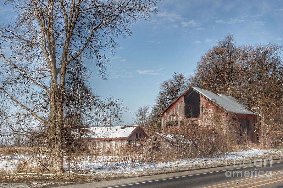 0757 - Almont's Van Dyke Red I by Sheryl L Sutter 0757 - Almont's Van Dyke Red I by Sheryl L Sutter