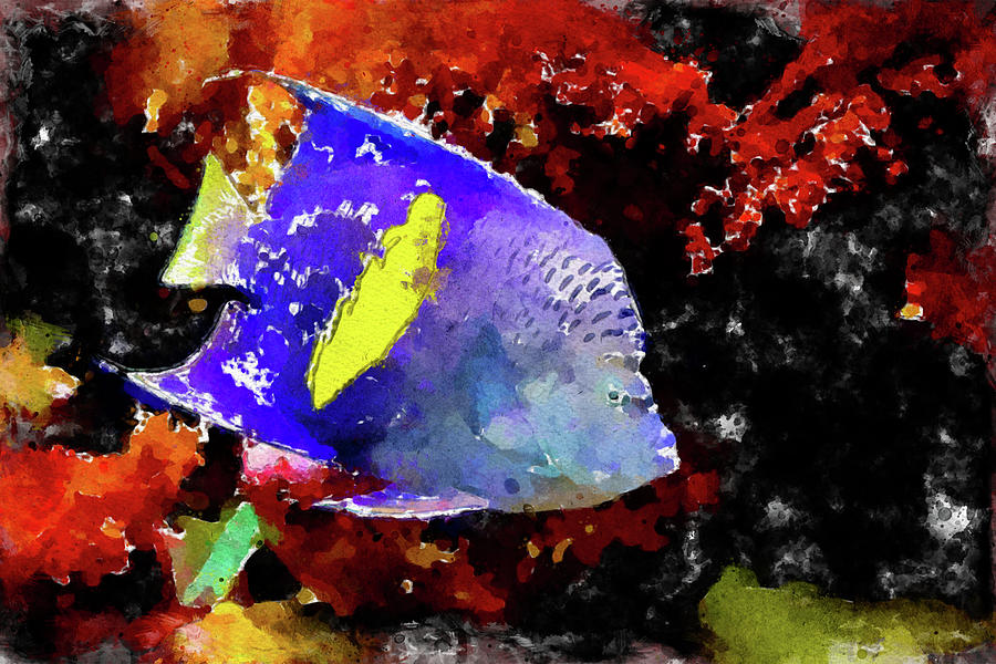 014 Blue Angelfish Watercolor Angelfish with Yellow Color Underwater Red Background Painting by Large Wall Art For Living Room 014 Blue Angelfish Watercolor Angelfish with Yellow Color Underwater Red Background Painting by Large Wall Art For Living Room