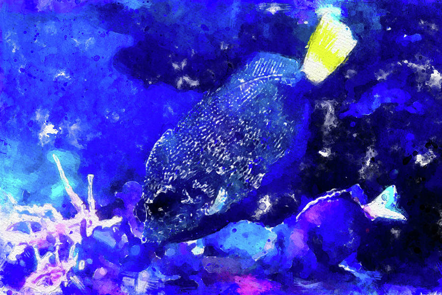 015 Blue Angelfish Watercolor Angelfish with Yellow Tail Underwater Blue Background Painting by Large Wall Art For Living Room