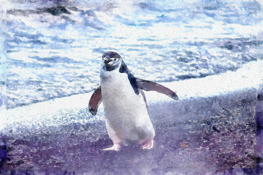 015 Running Penguin Watercolor Penguin Watercolor Painting Beach Background Painting by Large Wall Art For Living Room 015 Running Penguin Watercolor Penguin Watercolor Painting Beach Background Painting by Large Wall Art For Living Room