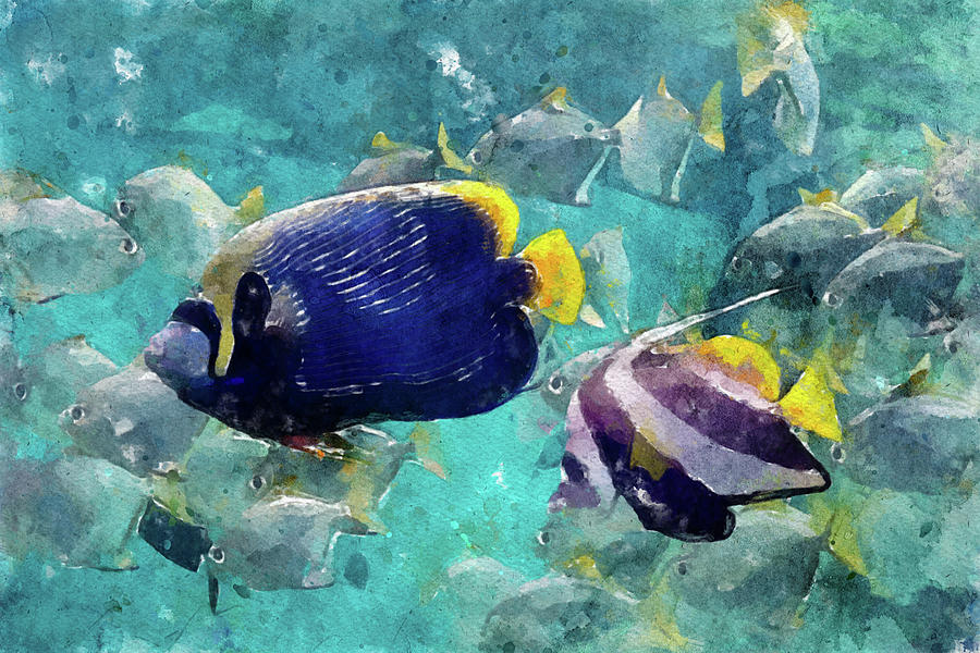 016 Multiple Angelfish Watercolor Angelfish with Underwater Aqua Background Painting by Large Wall Art For Living Room