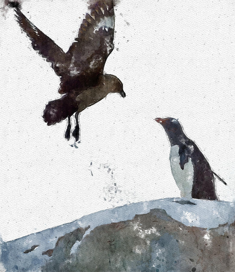 016 Seagull and Penguin Watercolor Penguin Watercolor Painting Rocks Painting by Large Wall Art For Living Room
