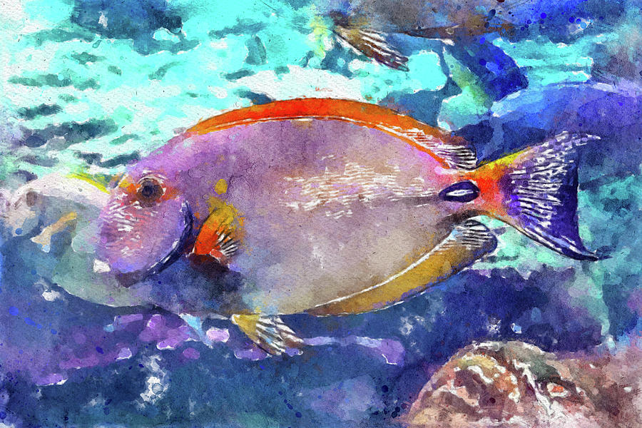 017 White Orange Angelfish Watercolor Angelfish with Pink Color Underwater Blue Background Painting by Large Wall Art For Living Room