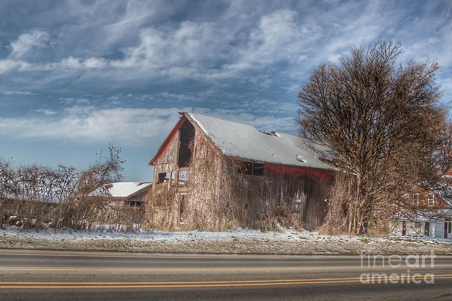 0766 - Almont's Van Dyke Red II by Sheryl L Sutter 0766 - Almont's Van Dyke Red II by Sheryl L Sutter