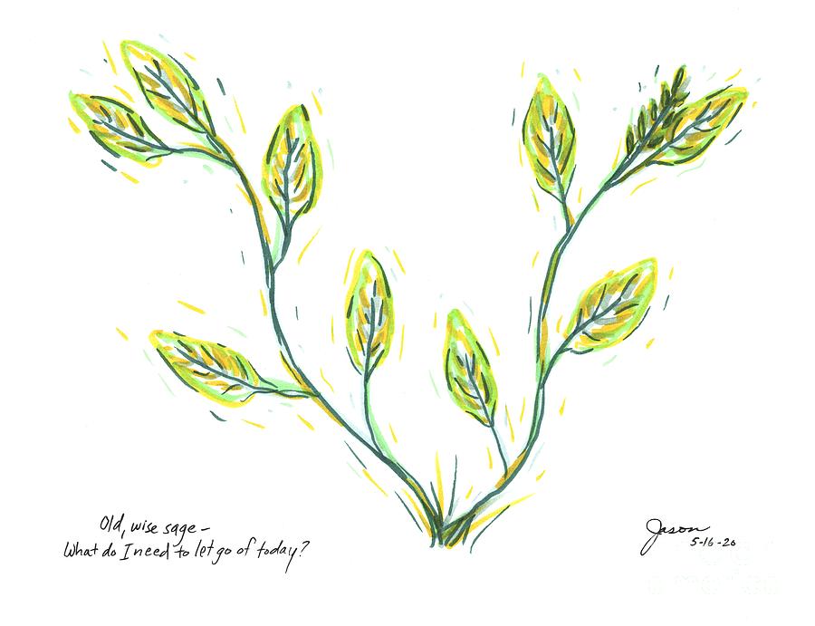 05-16-2020 Old, wise sage - What do I need to let go of today? Drawing by Jason Winfrey