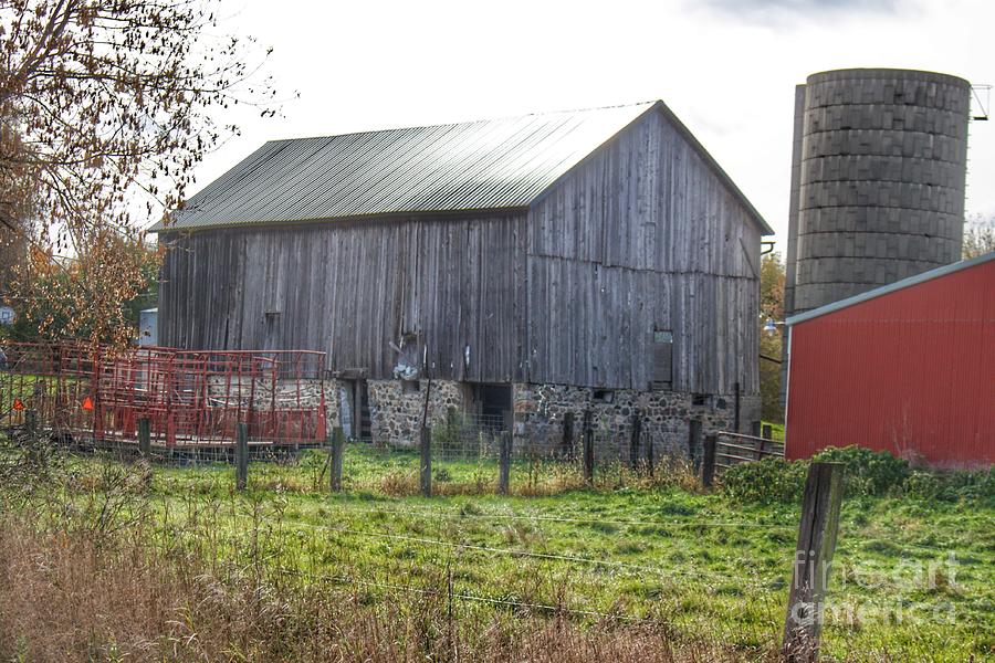 0748 - Slattery Road's Fieldstone Grey by Sheryl L Sutter 0748 - Slattery Road's Fieldstone Grey by Sheryl L Sutter