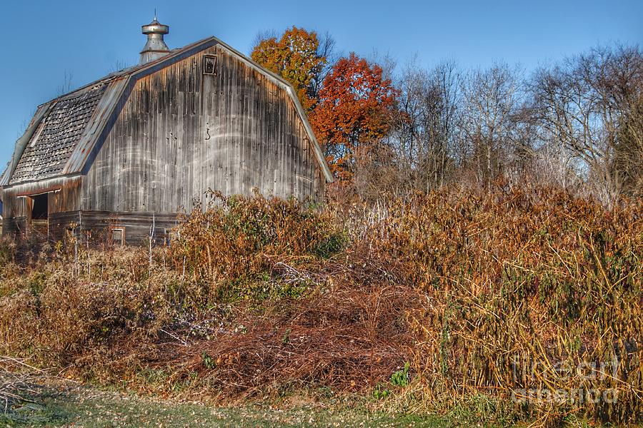 0749 - Vassar Road Grey II by Sheryl L Sutter 0749 - Vassar Road Grey II by Sheryl L Sutter