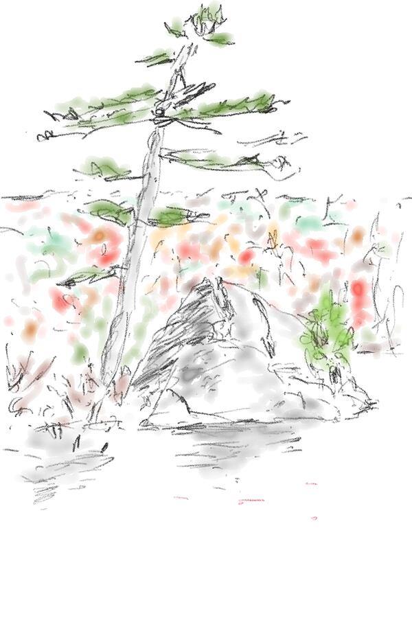 092520 Drawing by Dominique Lecomte 092520 Drawing by Dominique Lecomte
