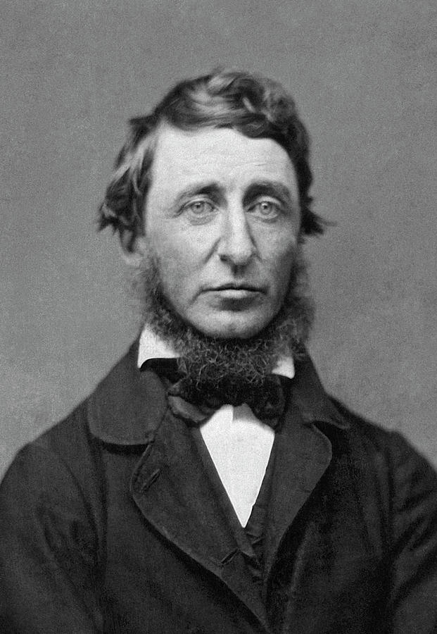 1856 Portrait of Henry Thoreau Photograph by Underwood Archives