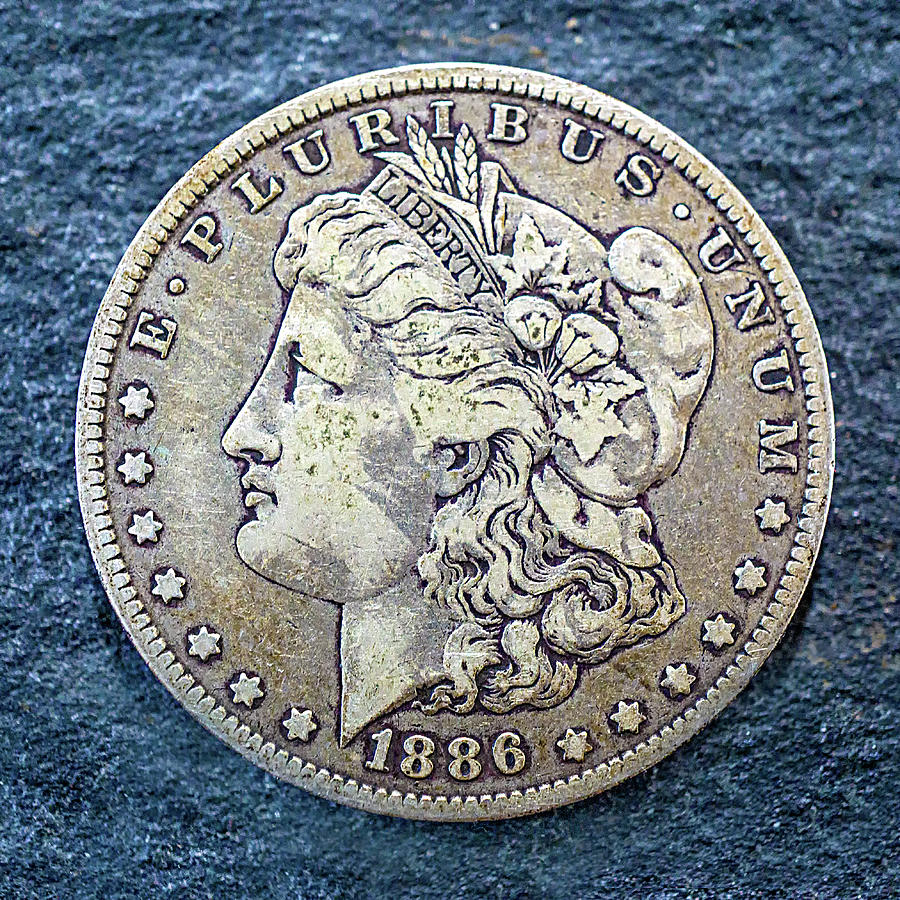 1886 Coin #2 Photograph by Dennis Dugan