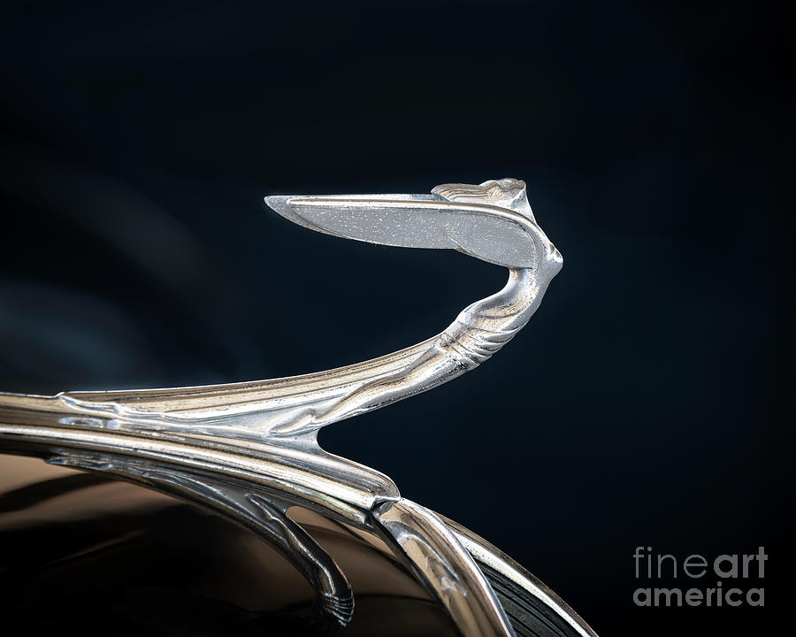 1935 Desoto Airflow Hood Ornament Photograph by Dennis Hedberg
